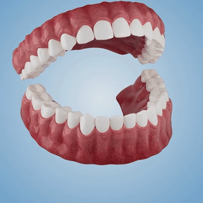 TAILEDEN™-New Generation Flexible Full Denture Solution